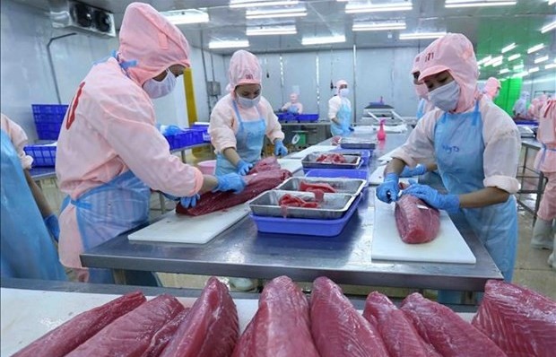 VN’s tuna products exported to 80 markets worldwide