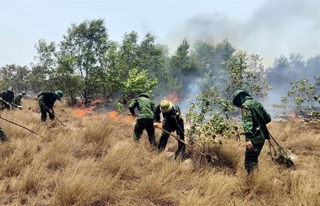 PM asks for effective preventive solutions against forest fires