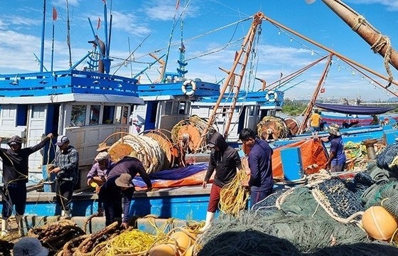 Vietnam charts vision for sustainable, modern fisheries