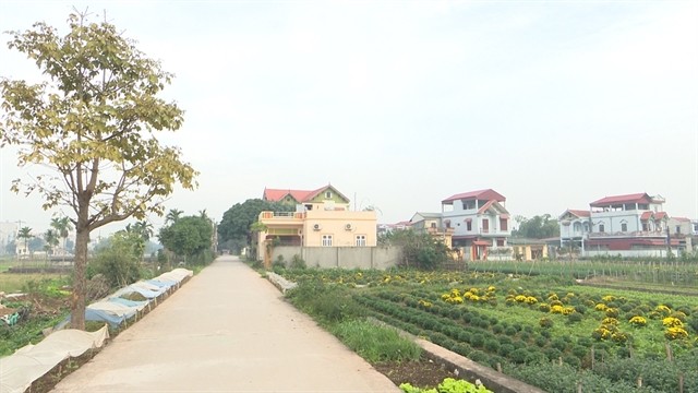 A view of Thường Tín district, Hà Nội. The property prices in this district is expected to surge in the future. — Photo chinhphu.vn