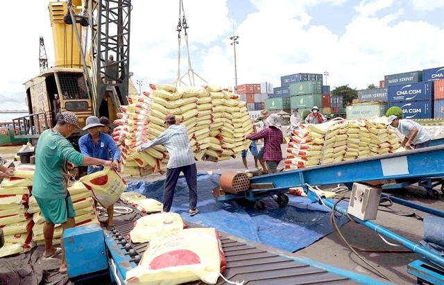 Việt Nam likely earn $5b from rice exports this year