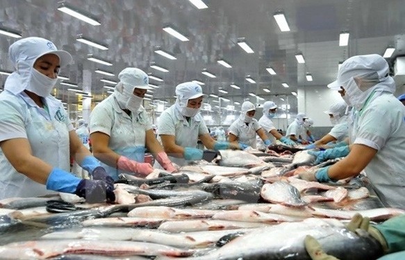 More Tra fish exporters exempt from US anti-dumping tax