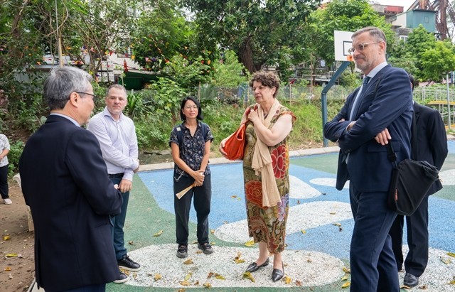 Germany, France and Vietnamese artists join in community project