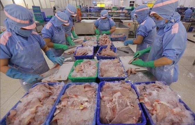 Vietnam earns over 7 billion USD from fishery exports in nine months