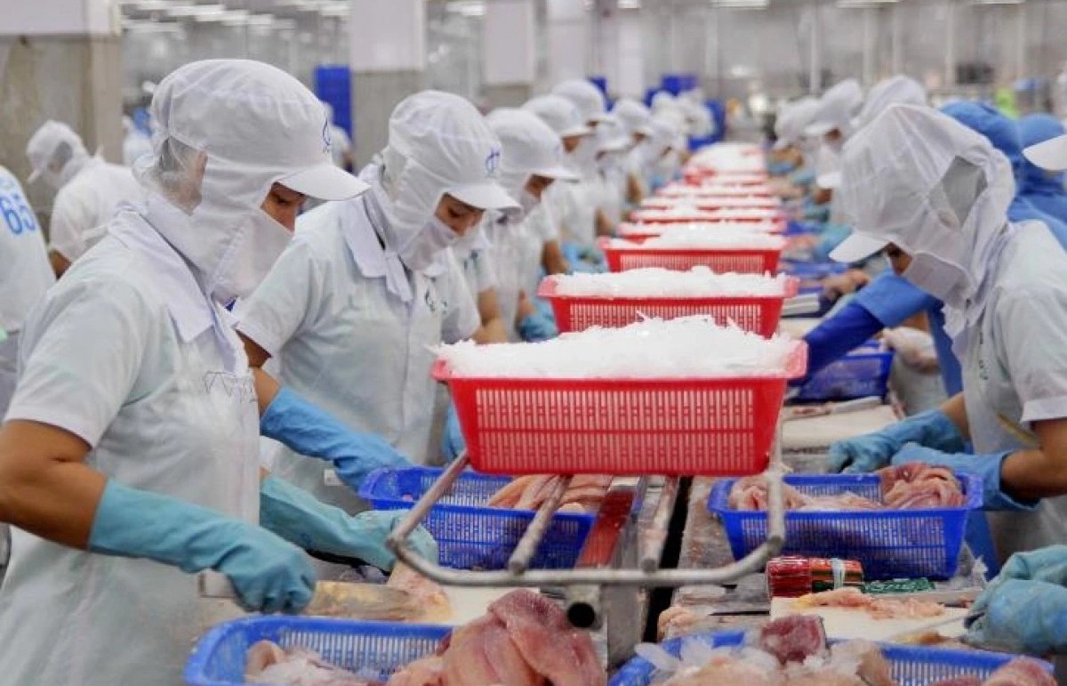 Vietnamese pangasius becomes leading option for Brazilian consumers