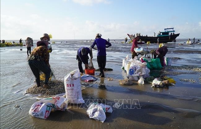 Ben Tre calls on investors to coastal areas