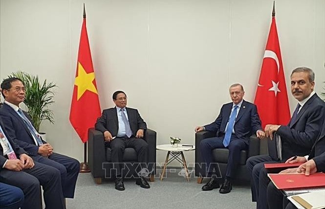 Vietnamese PM meets with Turkish President in Russia