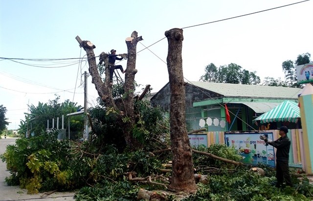 Powerful Trami enters East Sea, becomes sixth typhoon in 2024