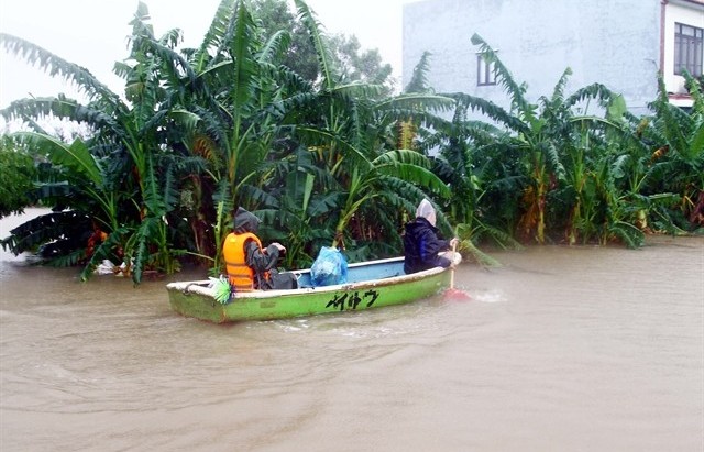 Central Việt Nam prepares for intense rainfall and strong winds