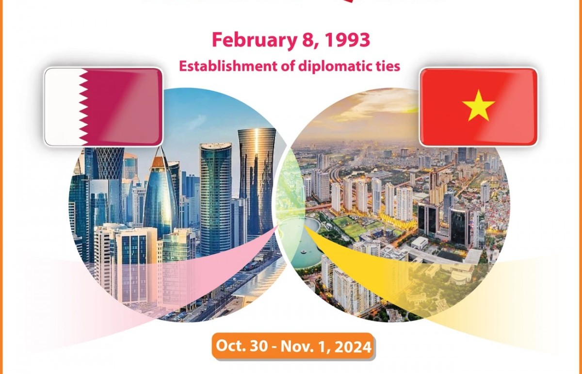 vietnam qatar friendship and multifaceted cooperation