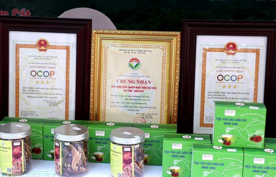 Cooperatives play significant role in OCOP product development