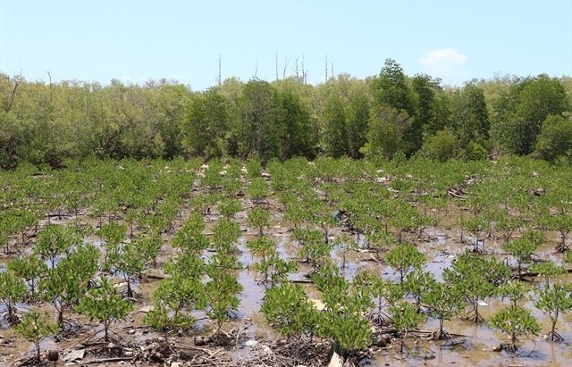 More accurate forecasts at all levels needed to reduce coastal disaster risk