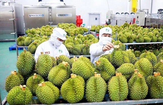 Fruit and vegetable exports likely to fetch US$7 billion this year