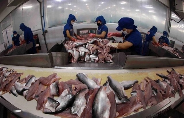 Việt Nam seafood exports climb back to $1b after two-year hiatus