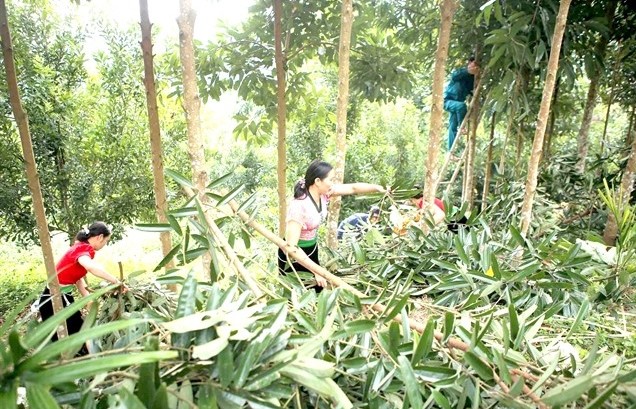 Việt Nam’s path to sustainable poverty reduction