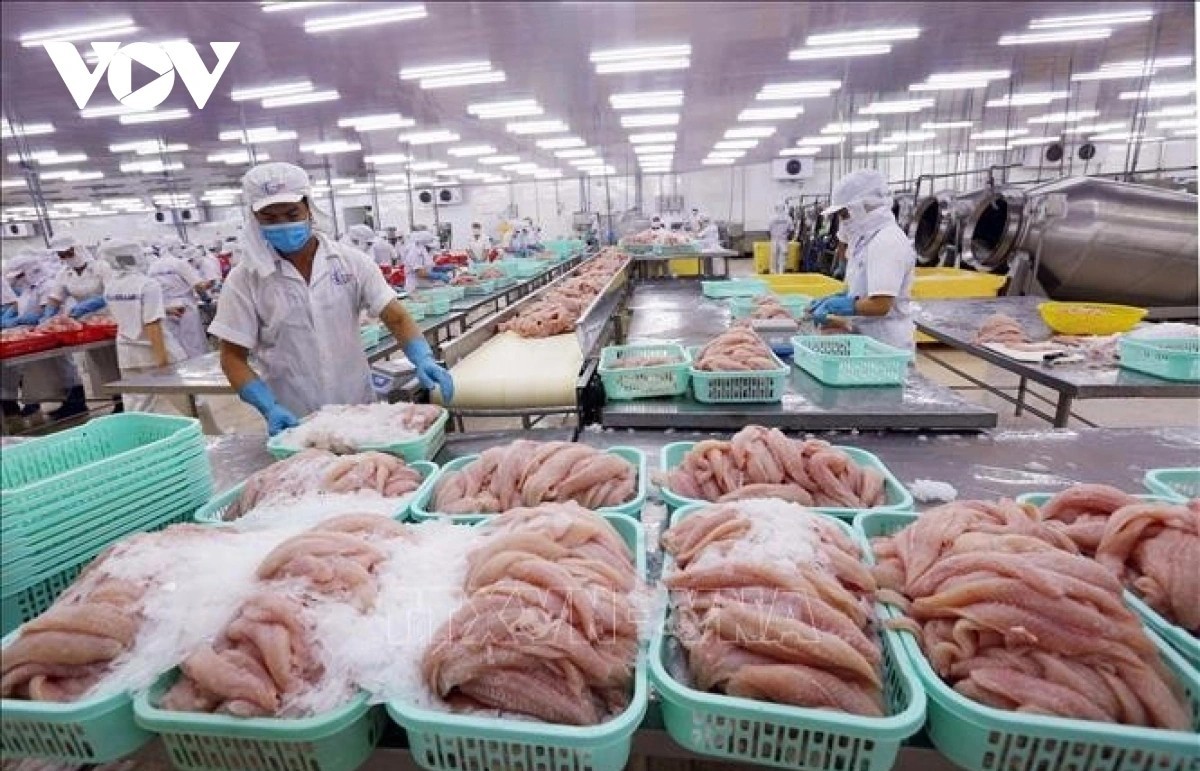 Pangasius exports to Canada see 10% over 10 months