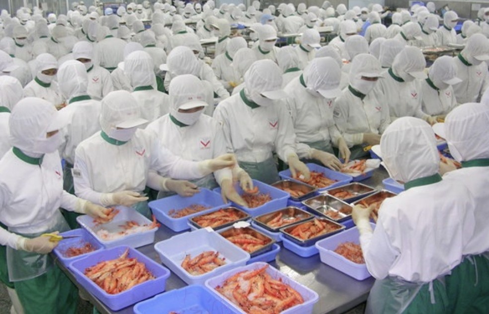 US remains Vietnam’s largest seafood export market