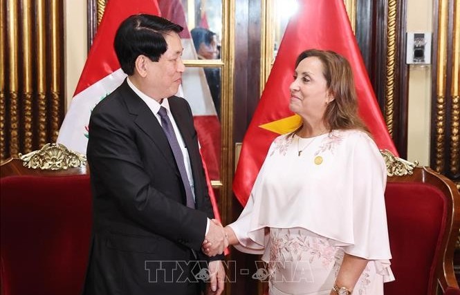 Vietnam, Peru issue joint declaration