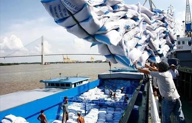 Vietnam to set new record in rice exports in 2024