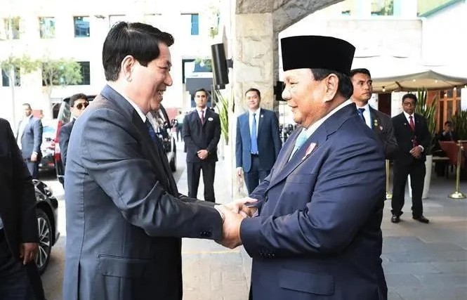 Vietnamese President meets with Indonesian counterpart