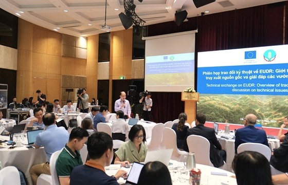 Việt Nam proactively prepares for EUDR despite EU postponement