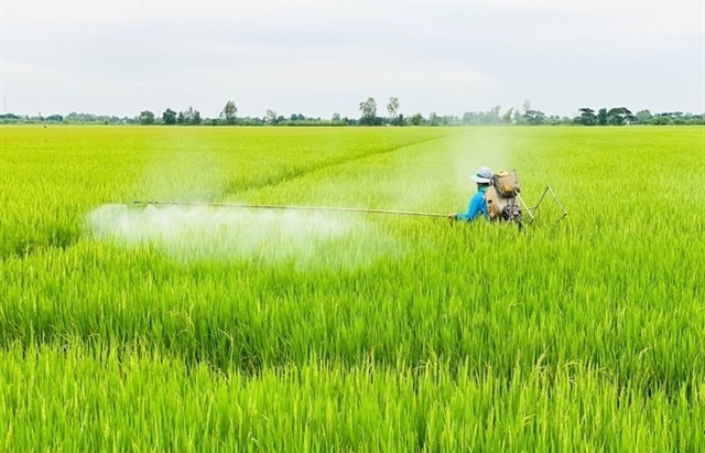 Should Việt Nam implement VAT on fertilisers?