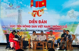 Bilateral trade turnover between Việt Nam and Mongolia triples