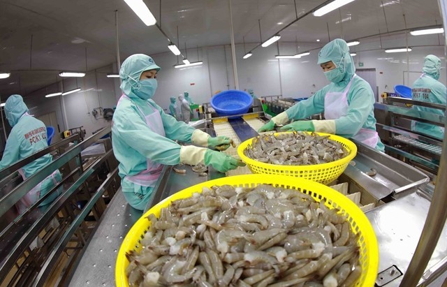 Shrimp exports surge in 10 months, generating US$3.2 billion