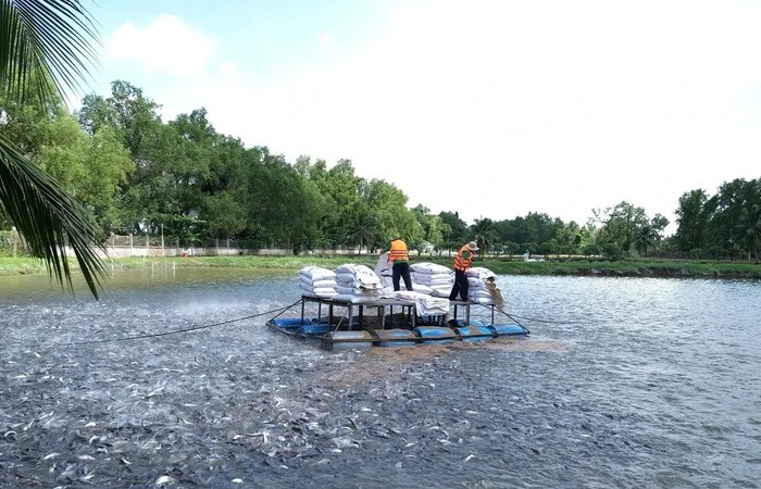 Promoting credit for key agricultural sectors in Mekong Delta