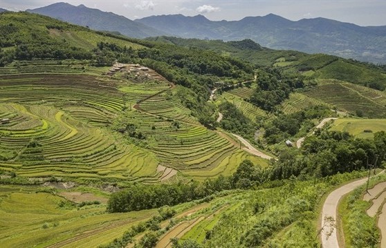 Hòa Bình taps agricultural tourism for sustainable development