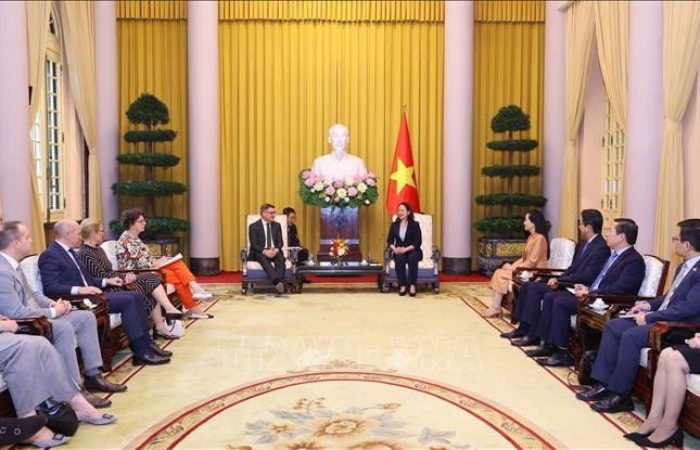 Vietnam values strategic partnership with Germany: Vice President