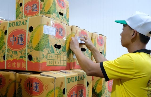 Vietnamese firms urged to improve product packaging to conquer the Chinese market