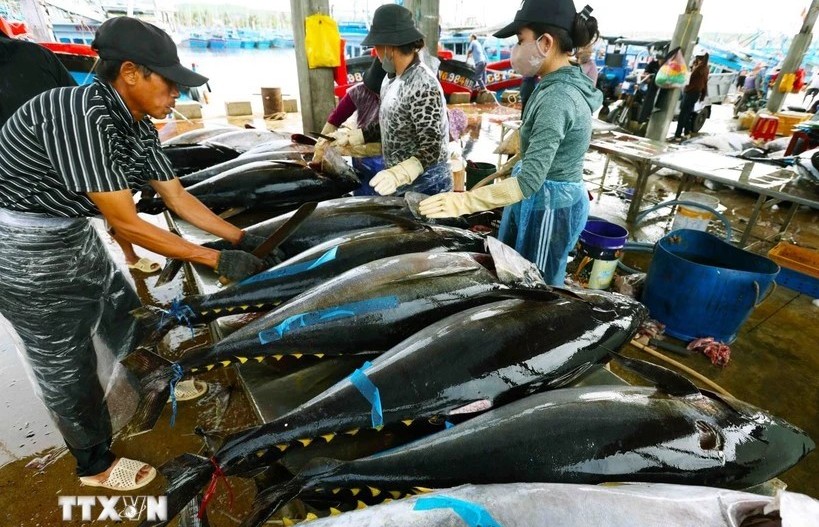 Tuna exports poised to hit 1 billion USD this year