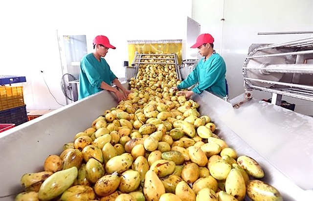 Việt Nam’s exports expected to hit highest growth since 2021