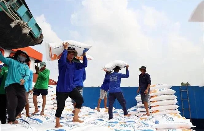 Rice exports to set record of 9 million tonnes this year