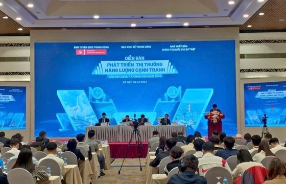 Việt Nam needs a competitive energy market: experts