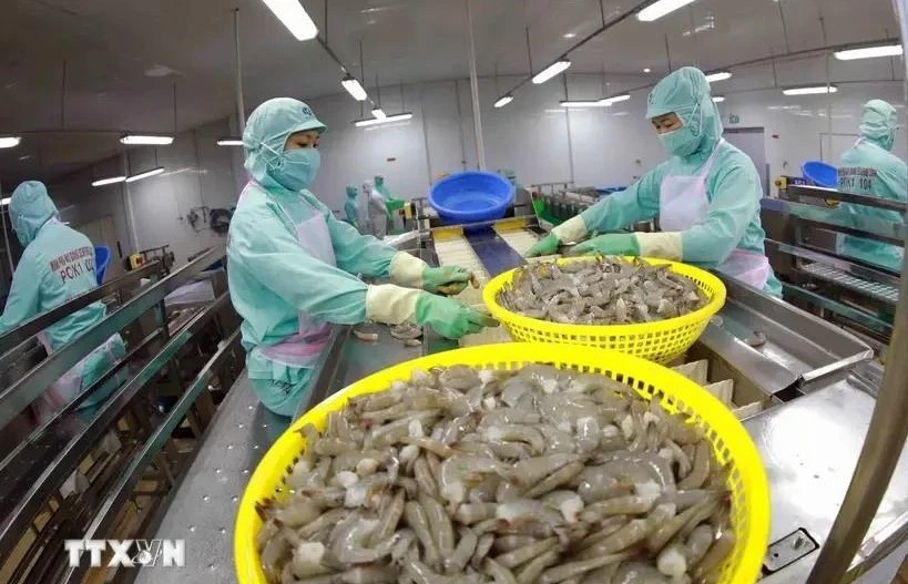 Shrimp exports expected to hit 4 billion USD in 2024