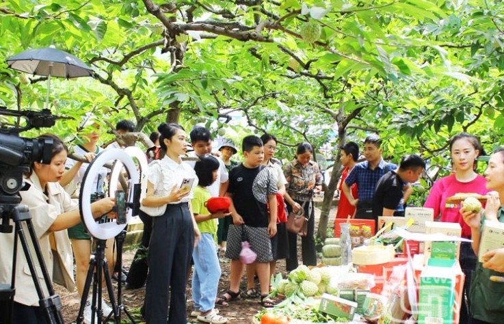 Ha Giang Province promotes sales of local products through e-commerce