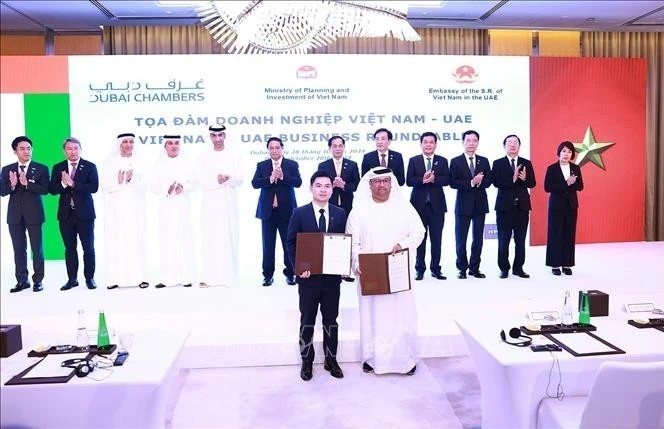 UAE a vital market of Vietnam in Middle East: Ambassador