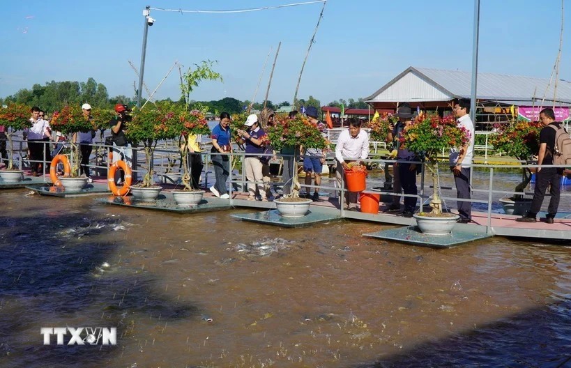 Mekong Delta tourism continues to surge