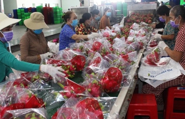 Agro-forestry-fisheries exports rise 8.3% over two months