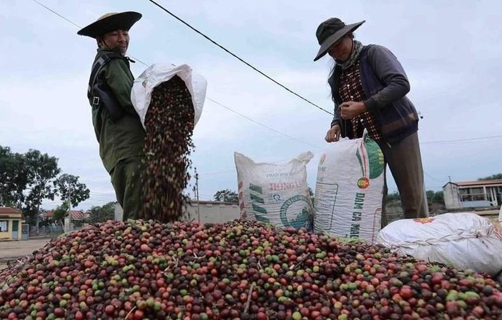 vietnam uk agricultural trade sees strong growth and expanding opportunities