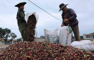 Vietnam-UK agricultural trade sees strong growth and expanding opportunities